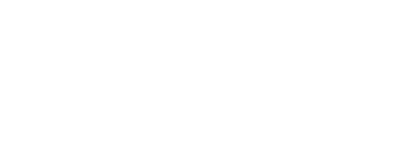 saxion logo